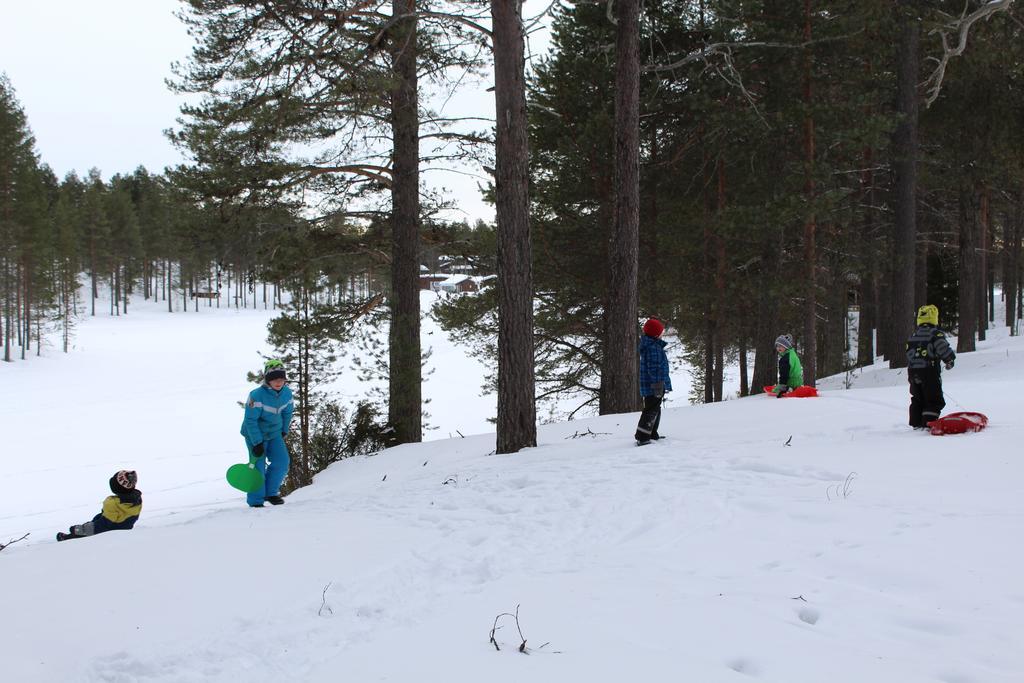 Petaejaekylae Villa Kuusamo Kamer foto