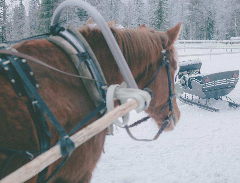 Petaejaekylae Villa Kuusamo Kamer foto