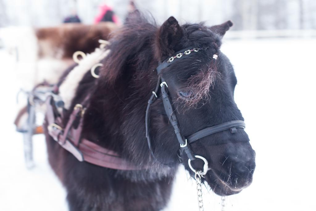 Petaejaekylae Villa Kuusamo Buitenkant foto