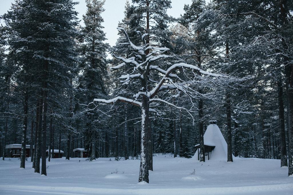 Petaejaekylae Villa Kuusamo Kamer foto
