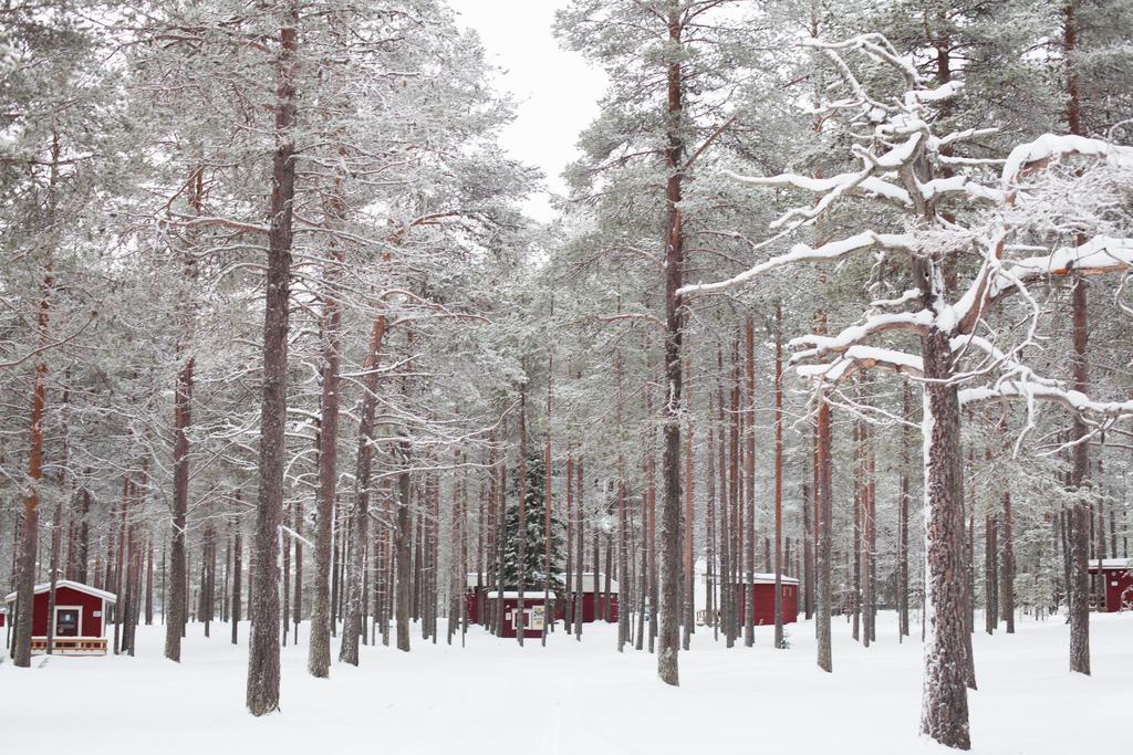Petaejaekylae Villa Kuusamo Kamer foto