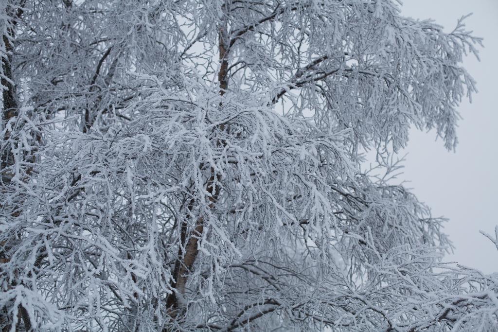 Petaejaekylae Villa Kuusamo Buitenkant foto